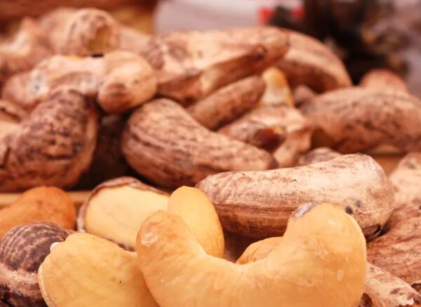 鹽焗腰果進口報關